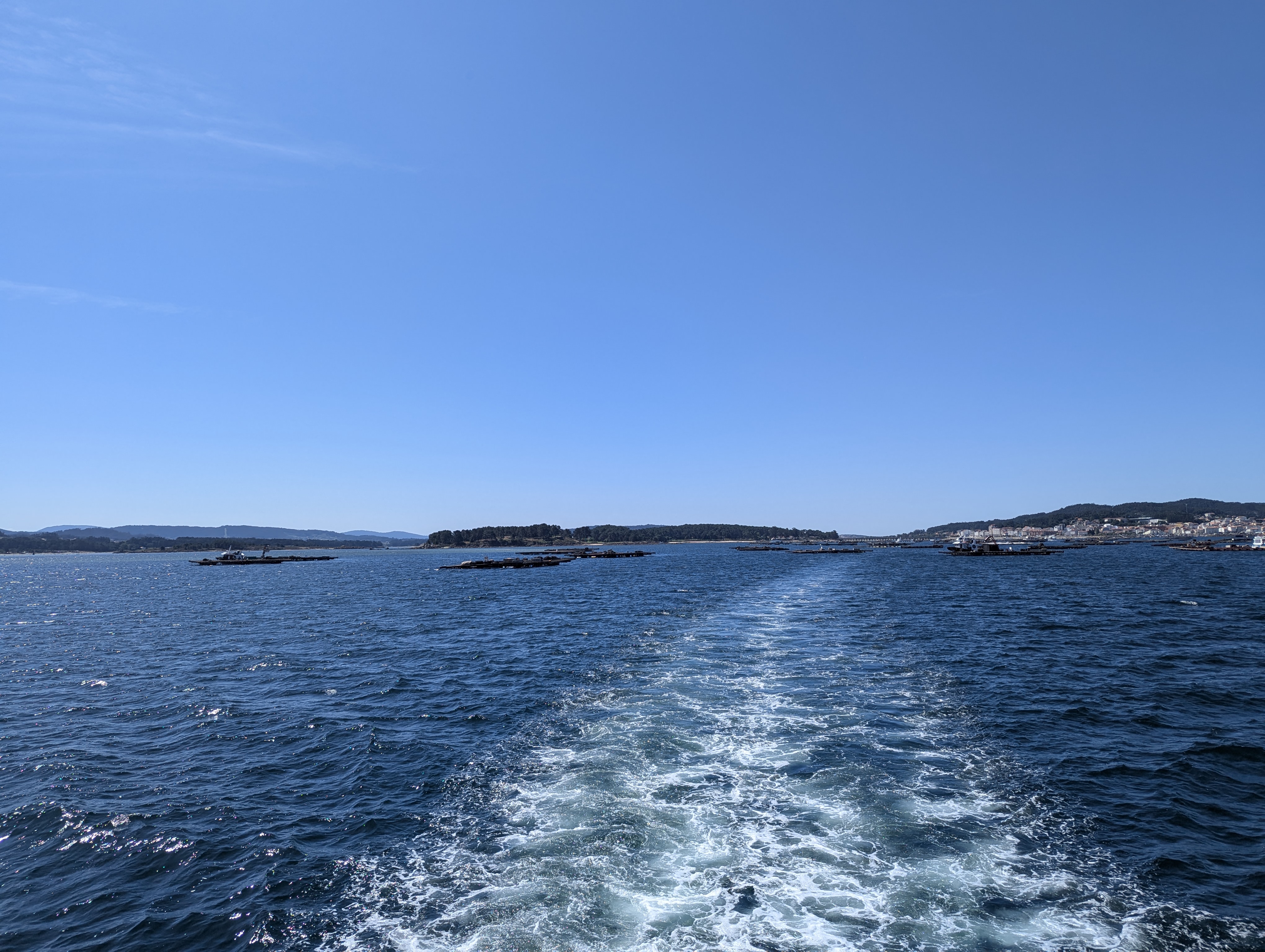 Adverse media search tool